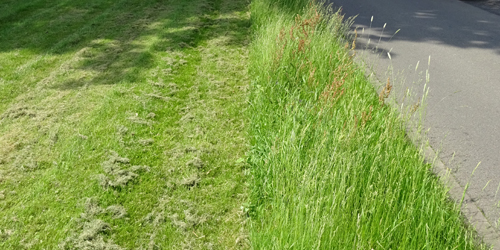 Maai bijvoorbeeld delen of slechts 'olifantenpaadjes'.