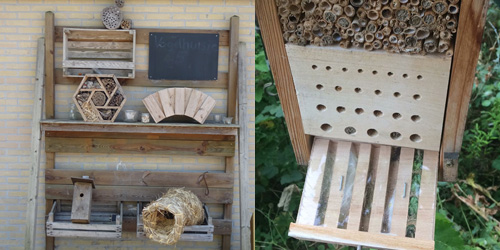 Insectenhotel Insectenhotel - Foto: Jelmer Groen