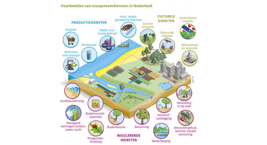 Voorbeelden van ecosysteemdiensten in Nederland - Bron: PBL, WUR, CICES 2014
