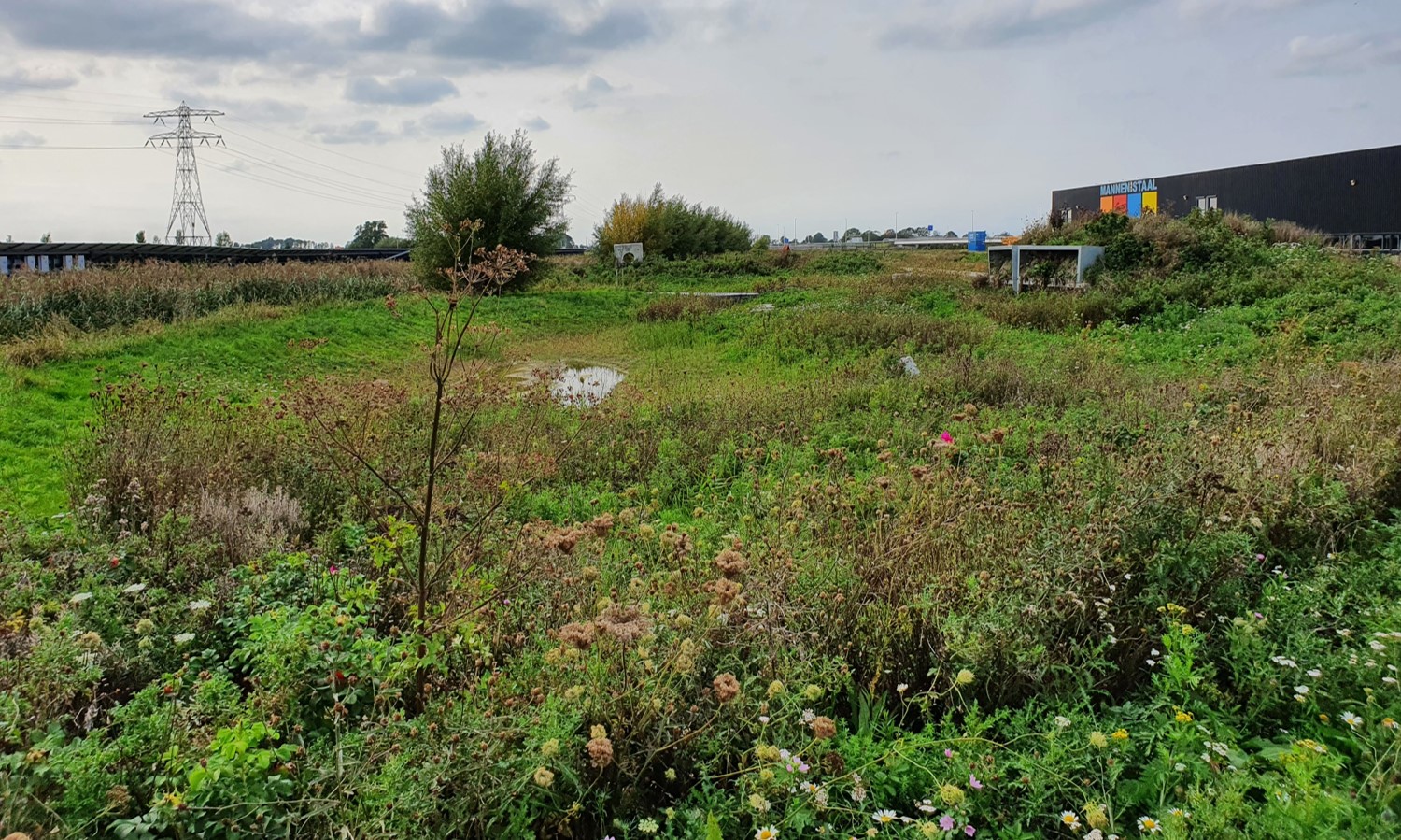 Er komt steeds meer kleur in het Biodiversum