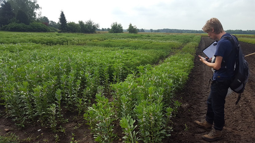 Collega Jeroen Breidenbach inventariseerd bestuivers voor landschapsbeheer Groningen