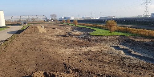 Ontwikkeling van het eerste biodiversum in Friesland